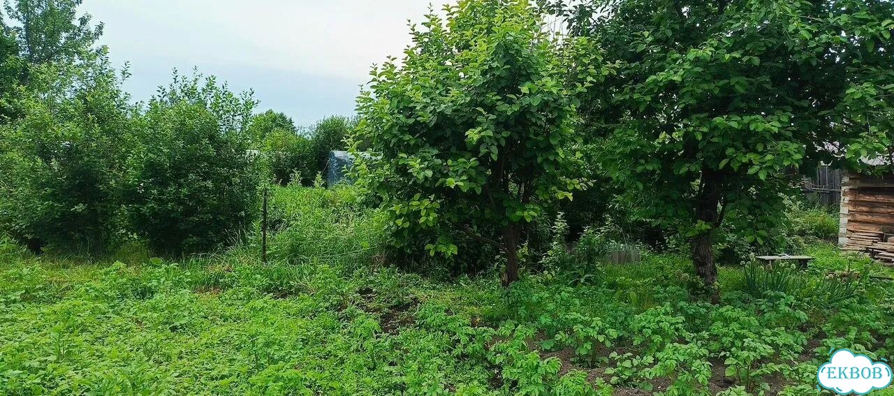 Дача 30 м² на участке 6 сот. фото 3