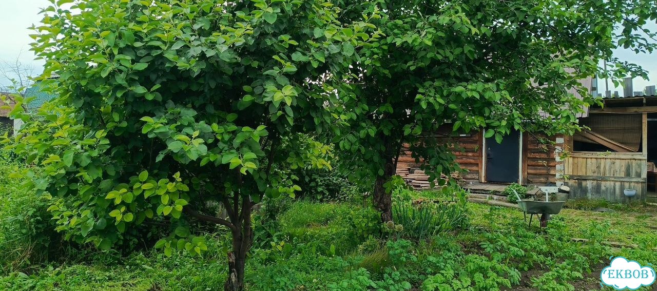 Дача 30 м² на участке 6 сот. фото 4