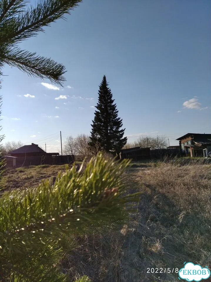 Дача 30 м² на участке 25 сот. фото 3