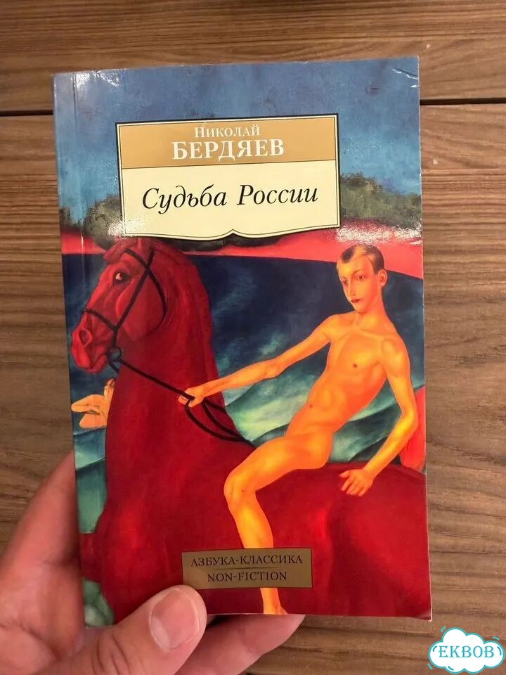 Книга Бердяев Судьба России фото 1