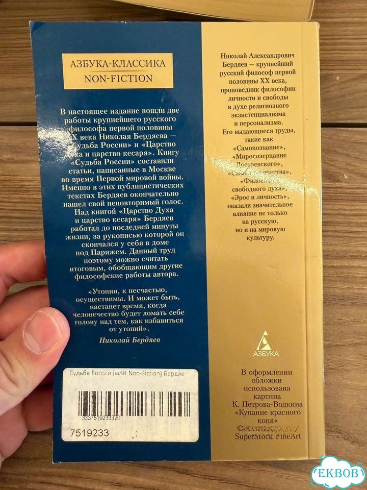 Книга Бердяев Судьба России фото 3