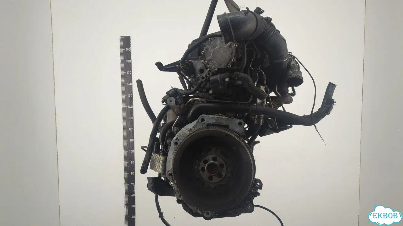 Двигатель Volkswagen Eos BMM фото 4
