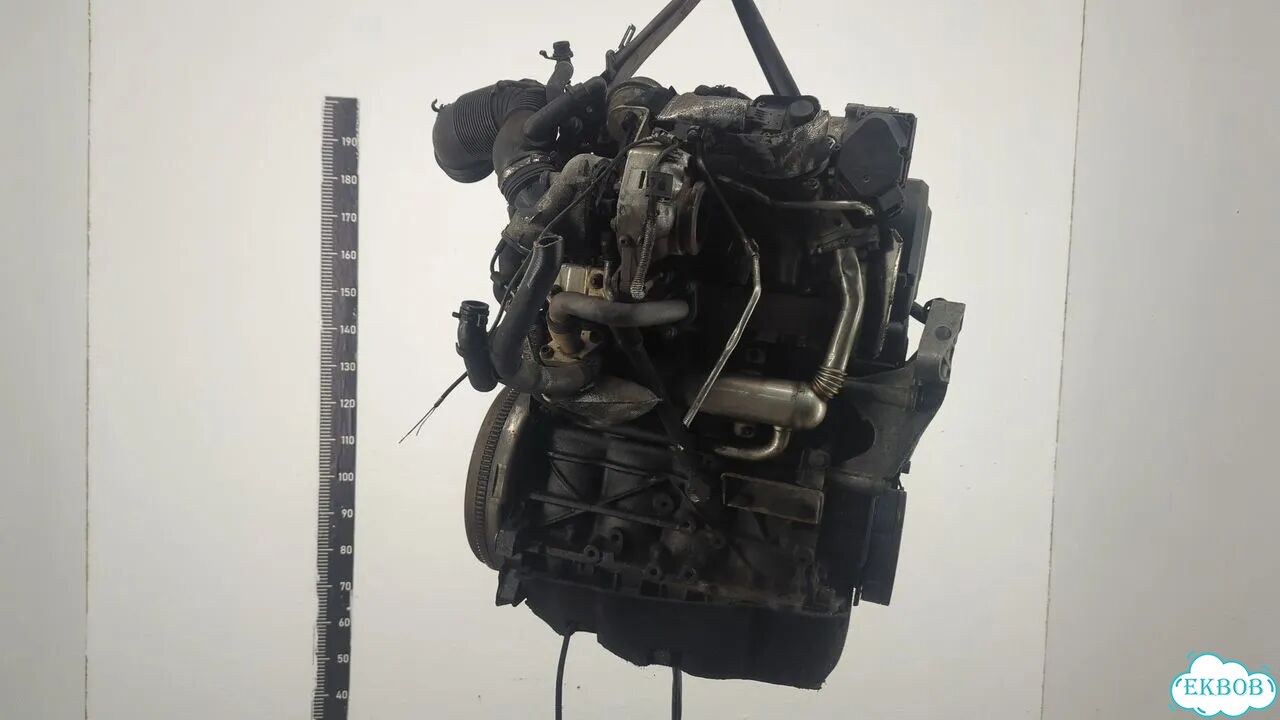 Двигатель Volkswagen Eos BMM фото 5