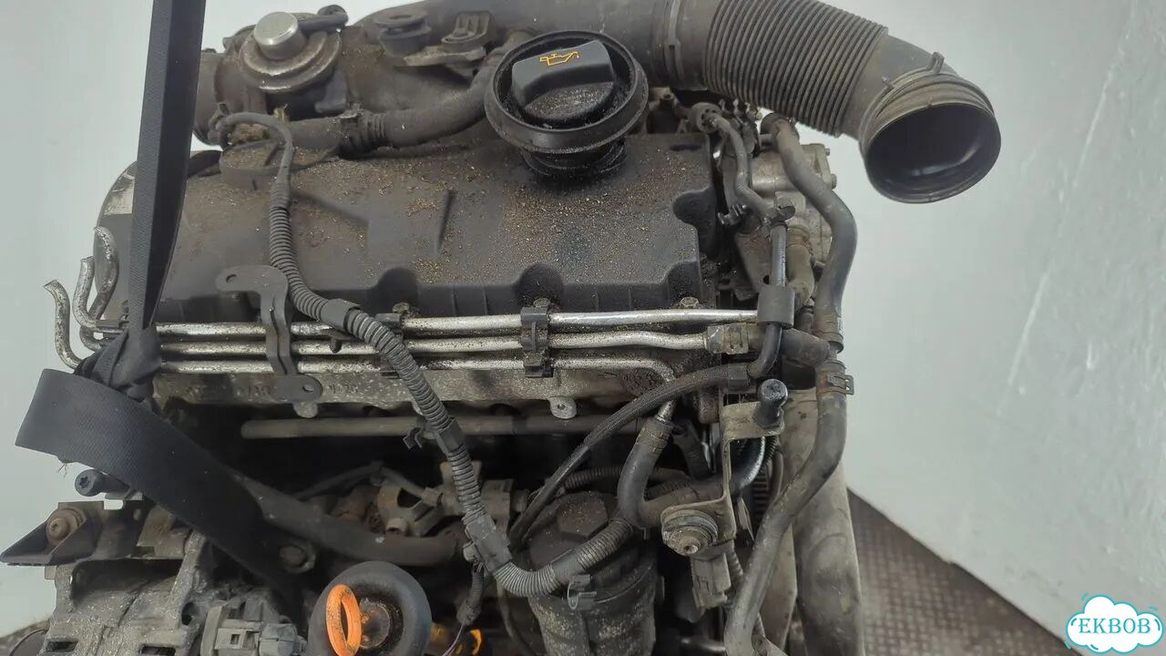 Двигатель Volkswagen Golf 5 BKC фото 7