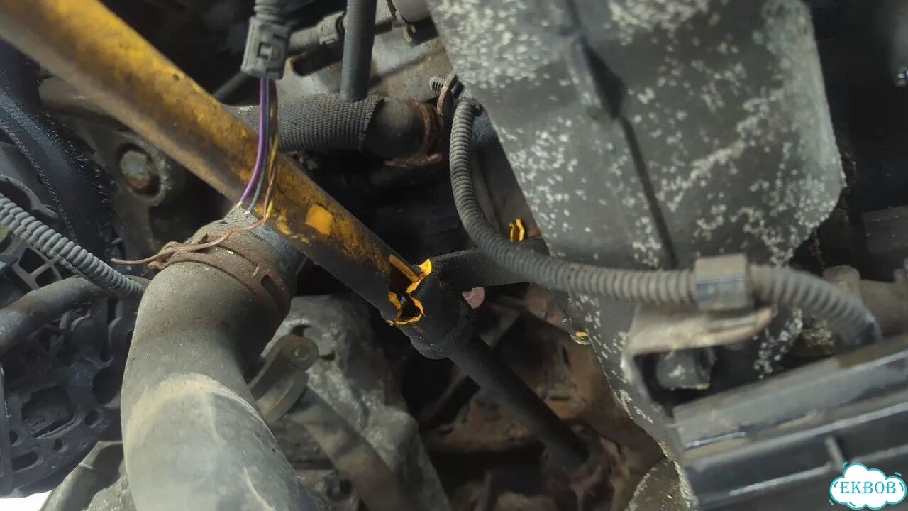 Двигатель Volkswagen Golf 5 BKC фото 8