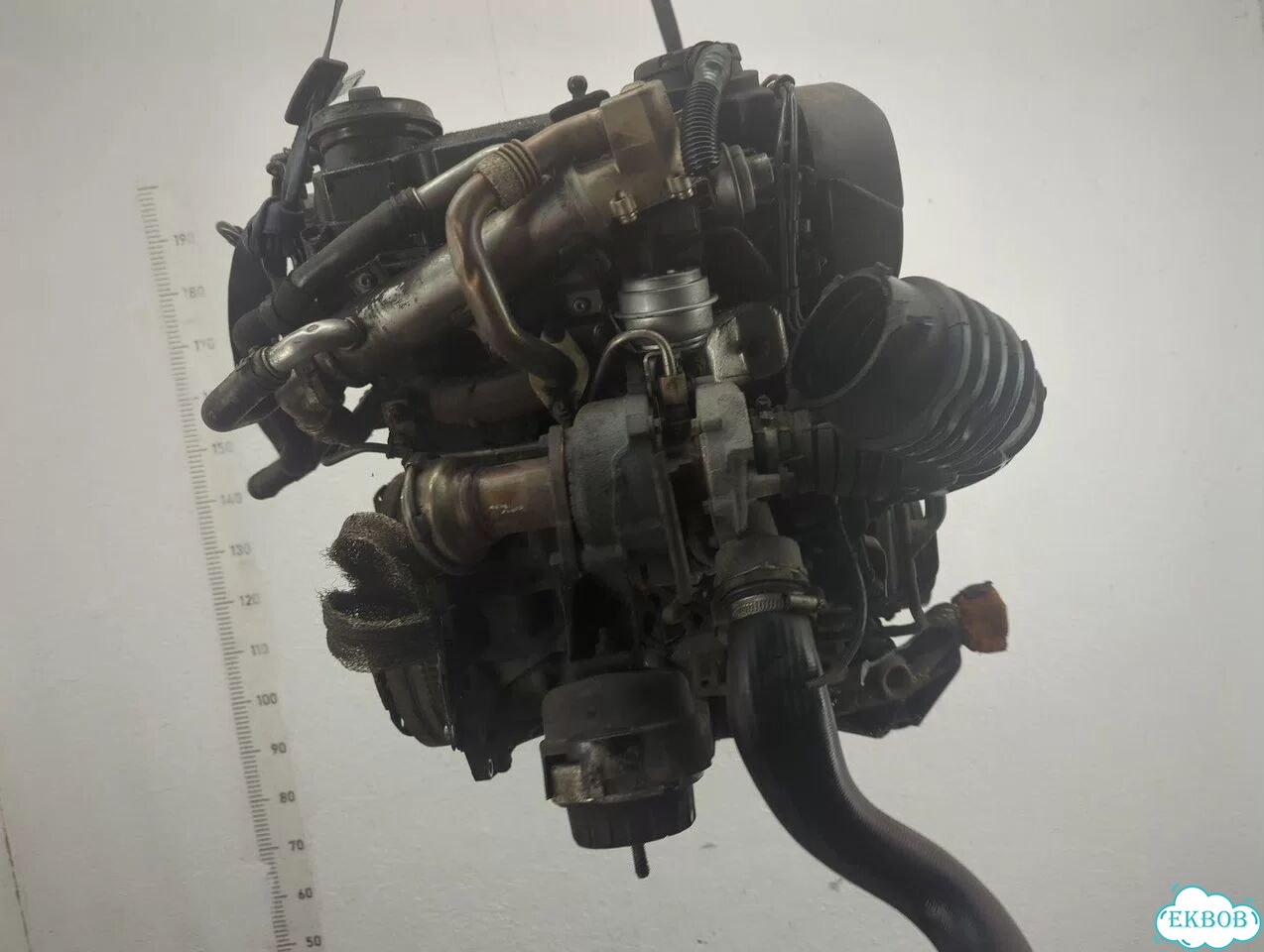 Двигатель Audi A6 (C6) BRE фото 5