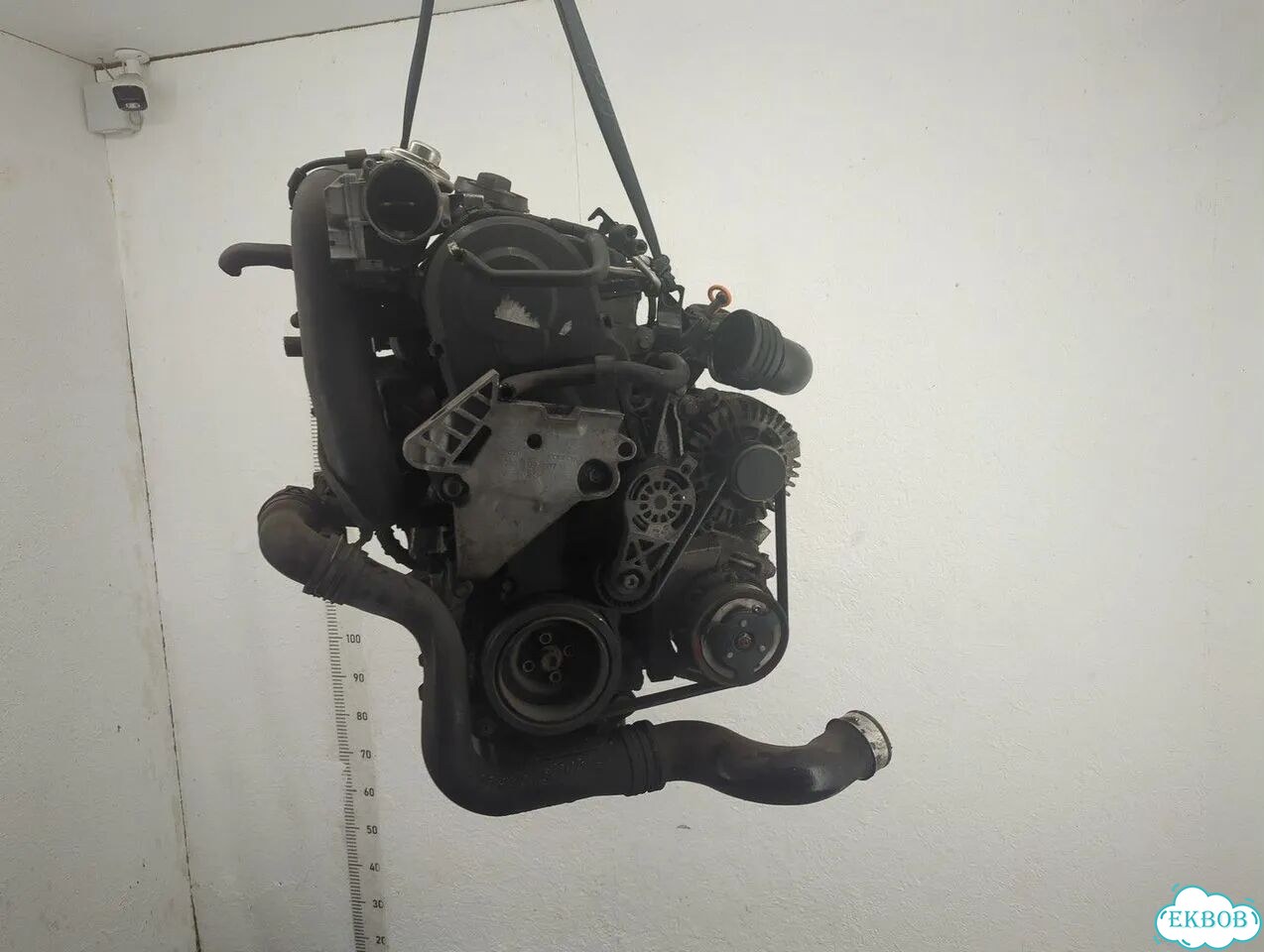 Двигатель Volkswagen Golf Plus BXE фото 1