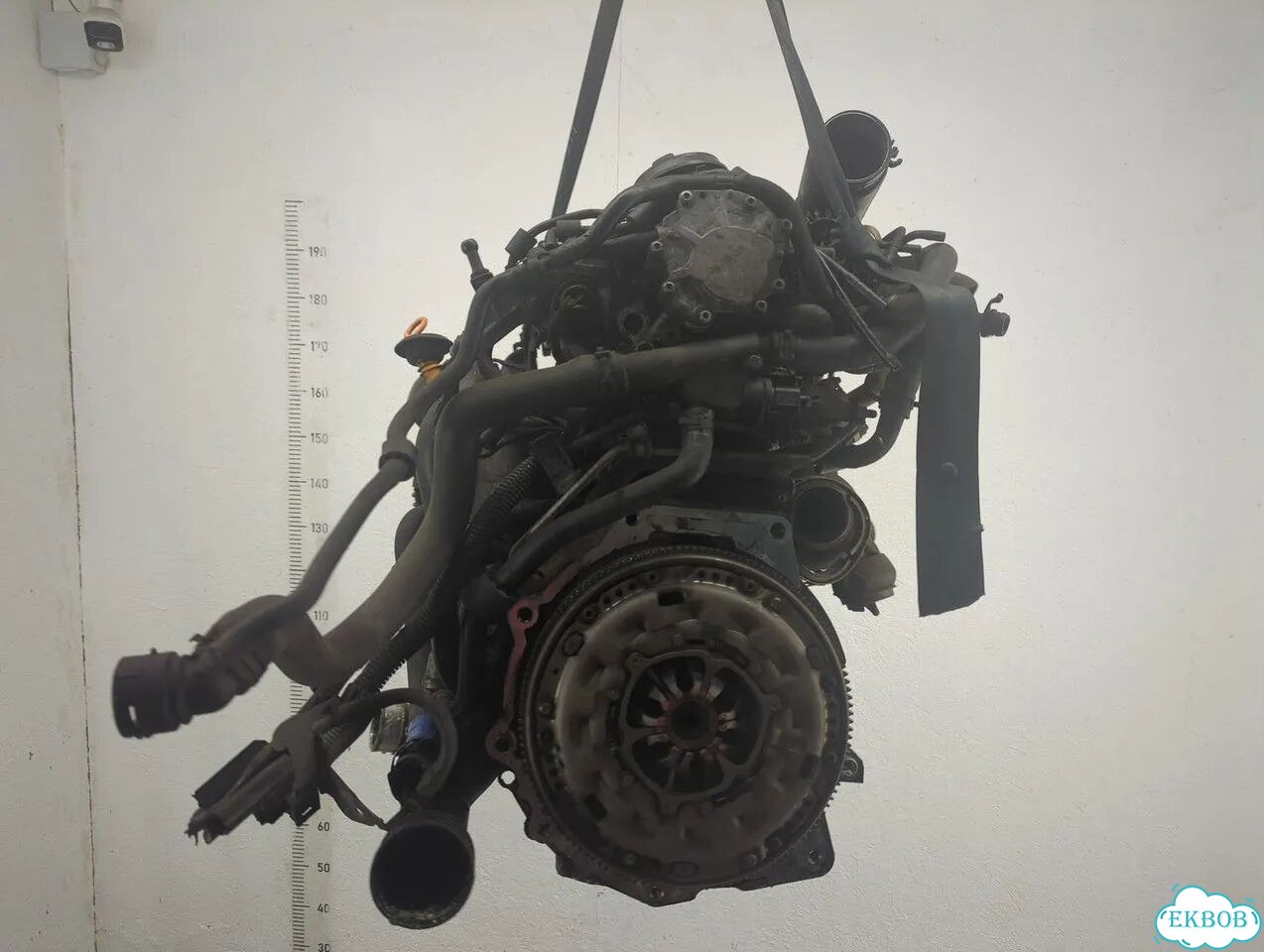Двигатель Volkswagen Golf Plus BXE фото 4