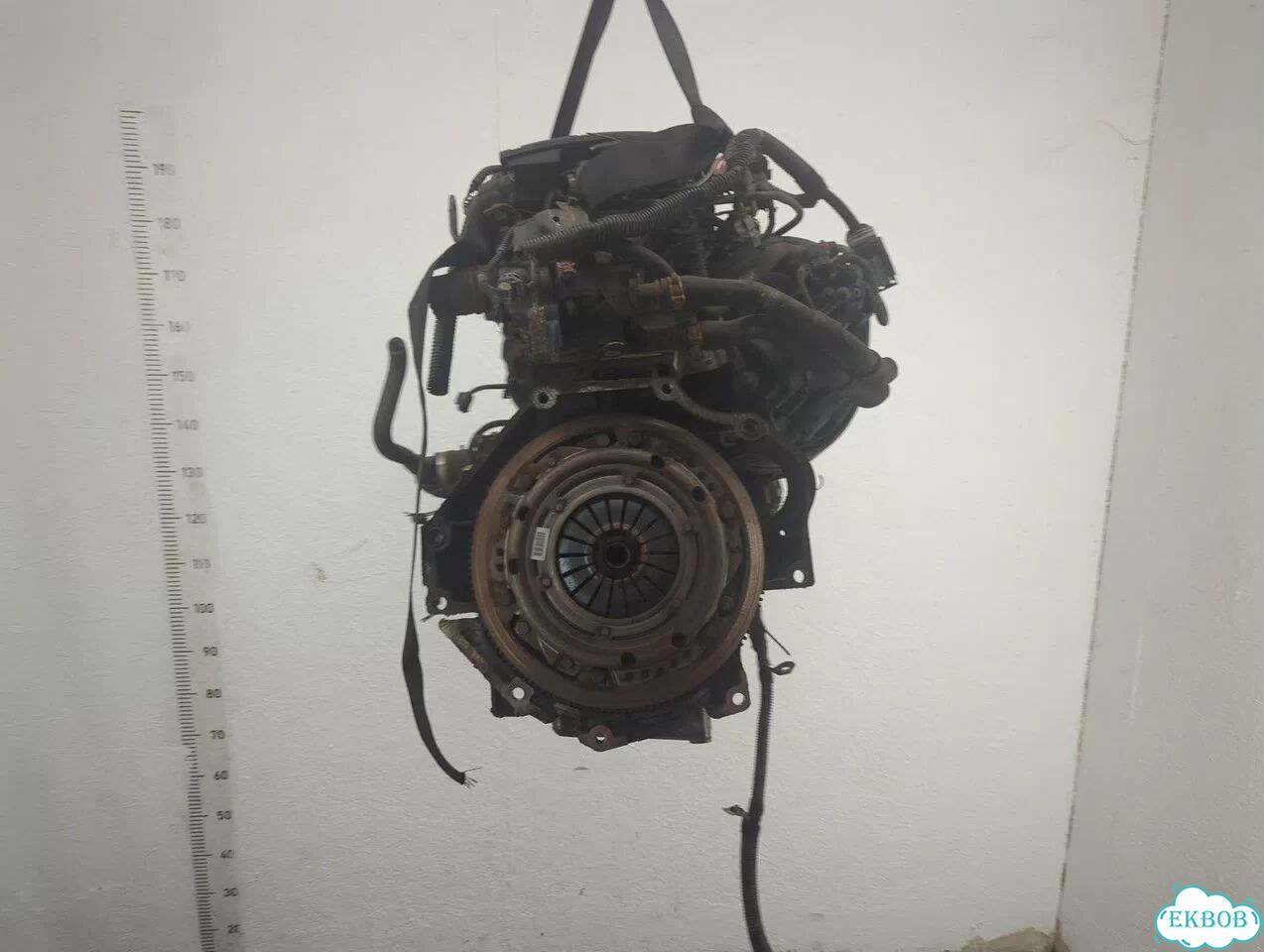 Двигатель Opel Astra H A18XER фото 4