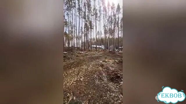 Участок 8,8 сот. (СНТ, ДНП) фото 2