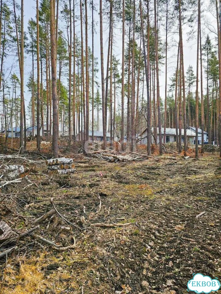 Участок 8,8 сот. (СНТ, ДНП) фото 3