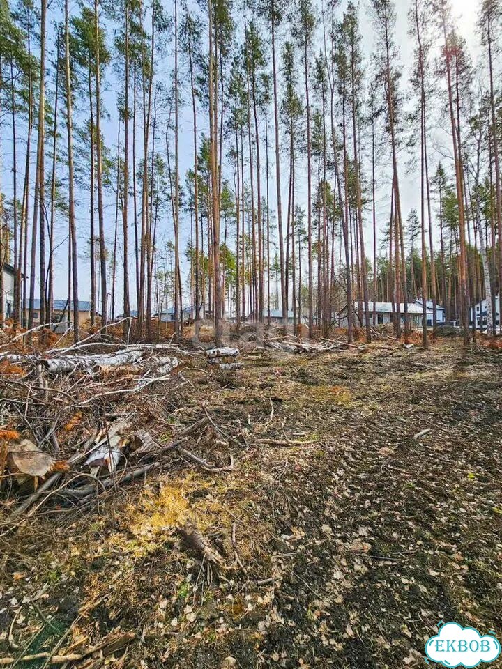 Участок 8,8 сот. (СНТ, ДНП) фото 4