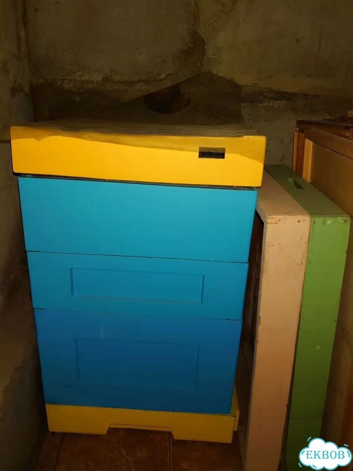 Продам ульи для пчел фото 1