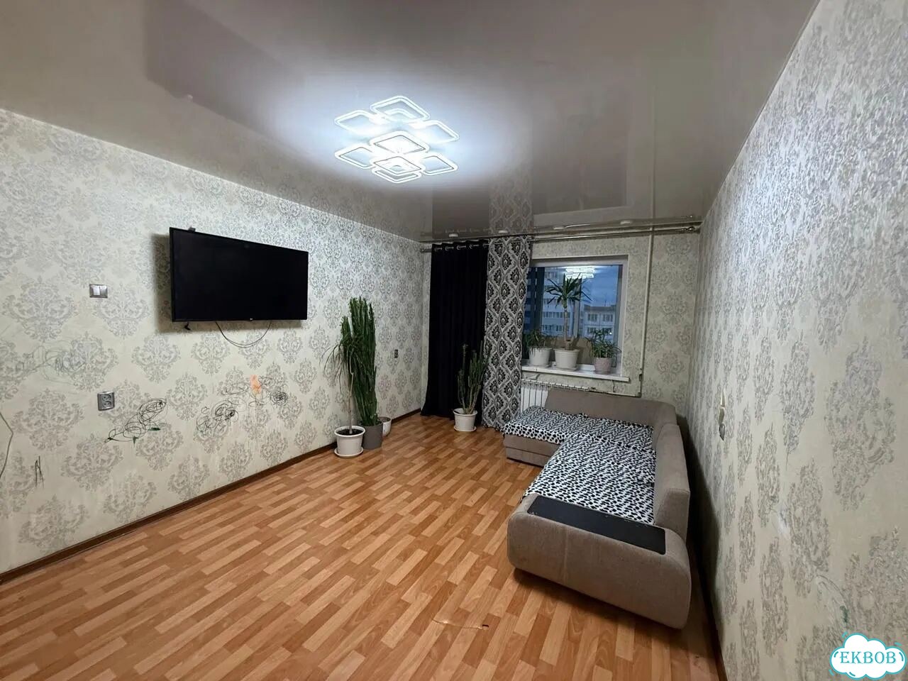 2-к. квартира, 52,7 м², 5/9 эт. фото 3