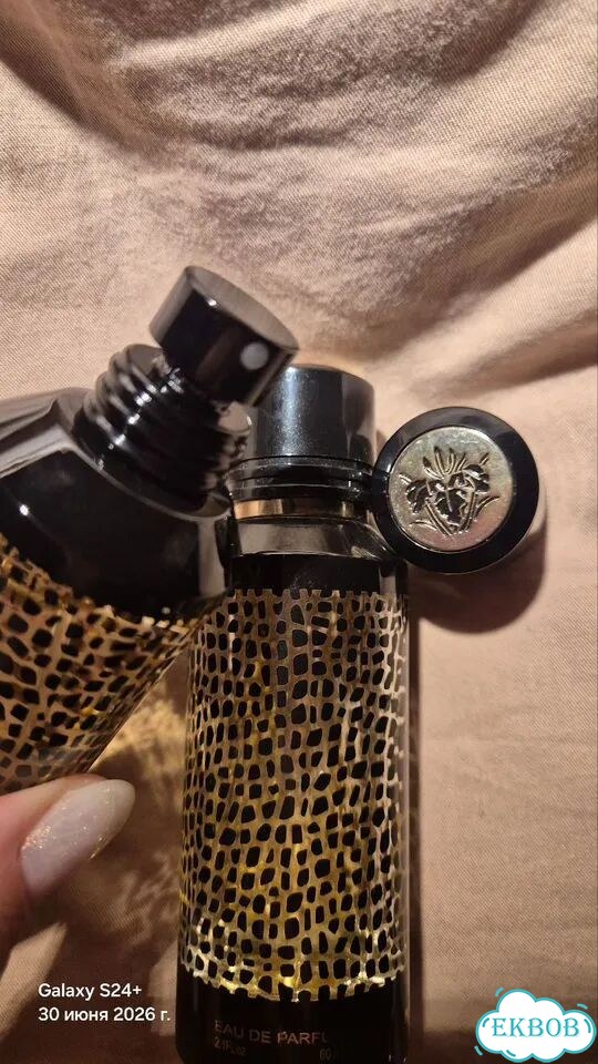 Mancera wild python фото 2