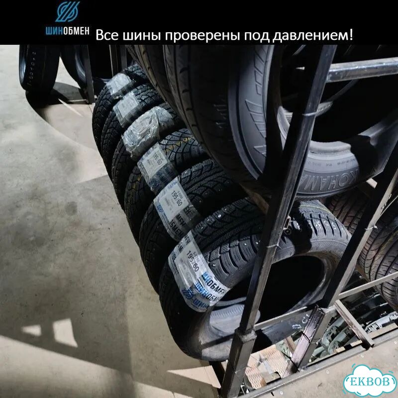Nitto Therma Spike 225/60 R17 105T фото 1
