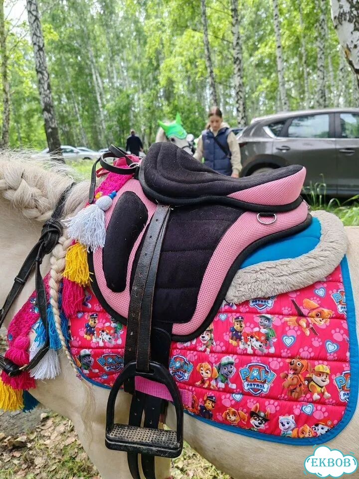 Седло безленчиковое, на пони фото 1