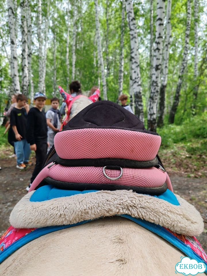 Седло безленчиковое, на пони фото 2