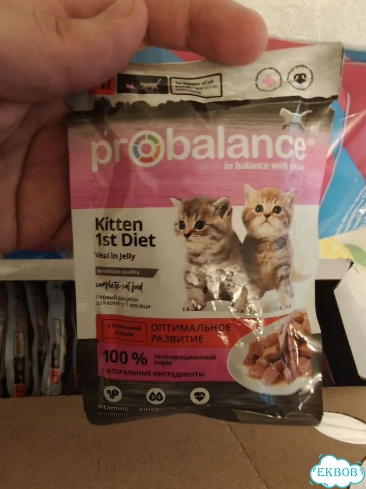 Корм для котят probalance фото 1