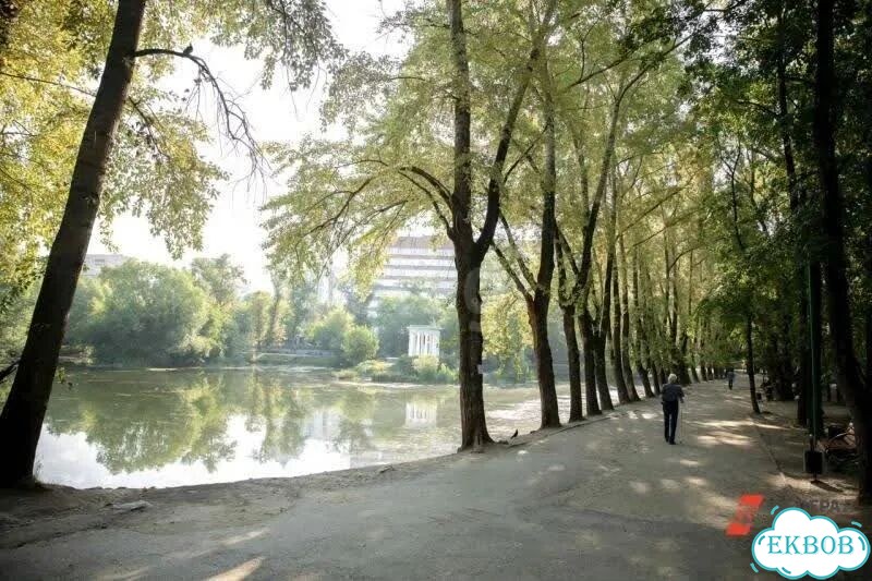 2-к. квартира, 43,2 м², 1/5 эт. фото 26