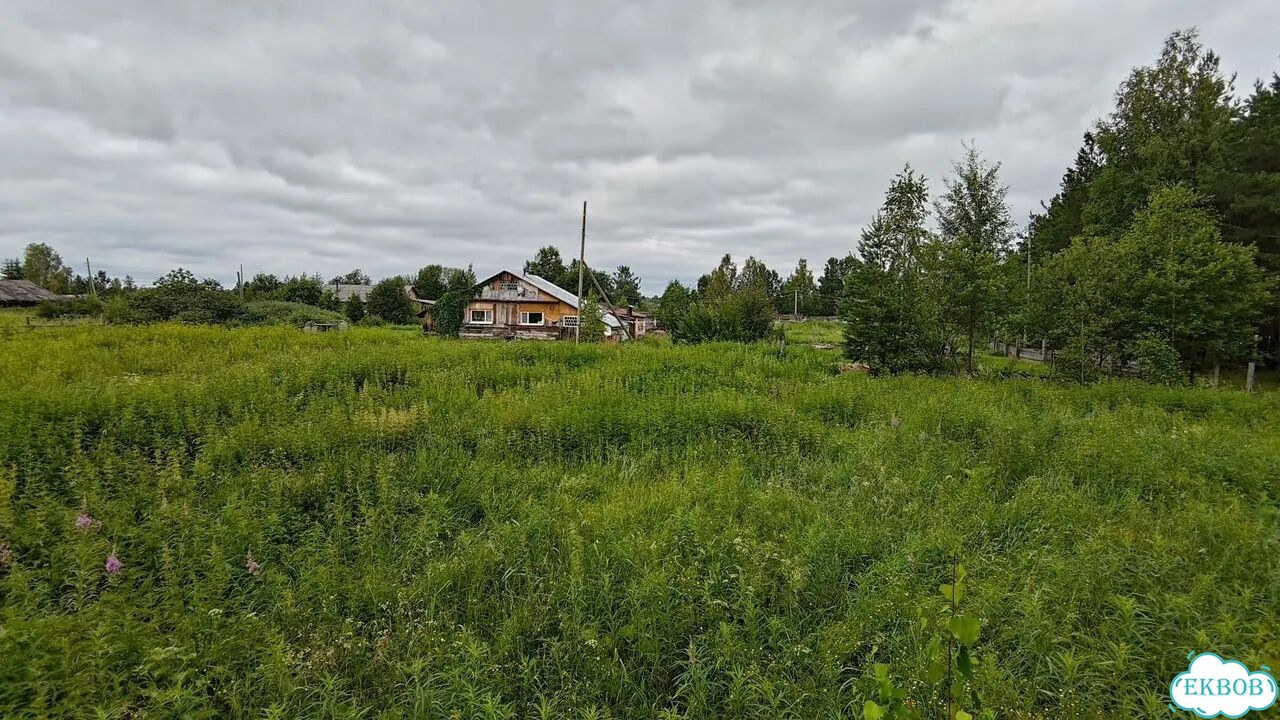 Участок 82,9 сот. (СНТ, ДНП) фото 3