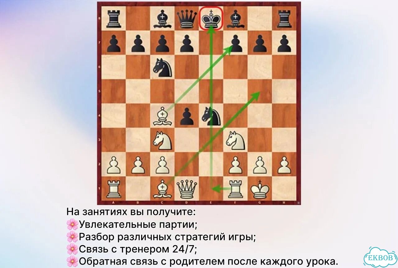 Тренер по шахматам фото 2