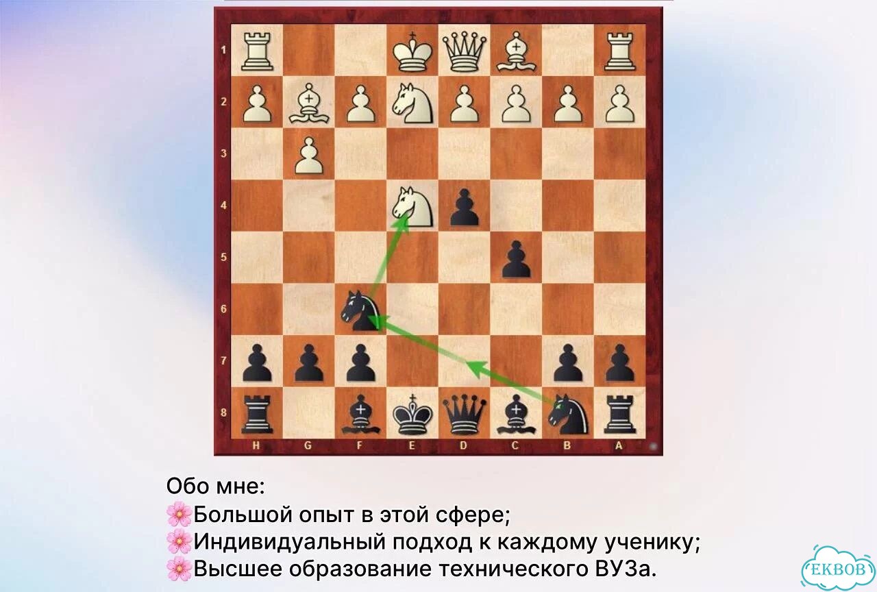 Тренер по шахматам фото 3