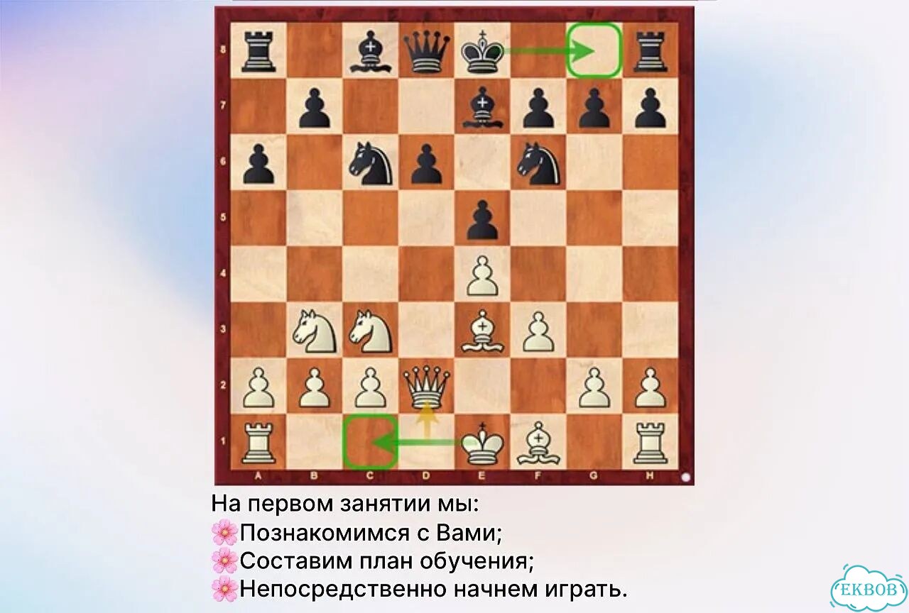 Тренер по шахматам фото 4