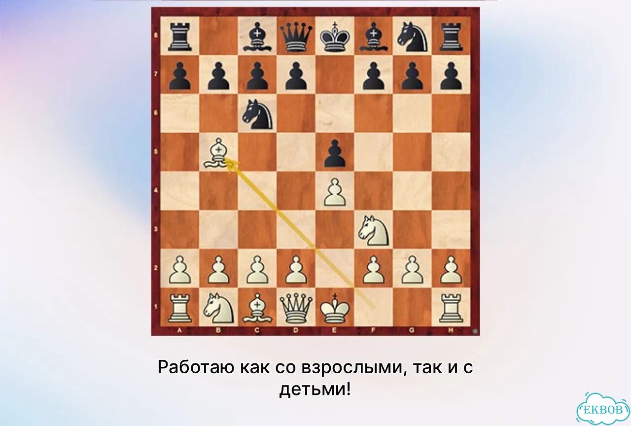 Тренер по шахматам фото 5