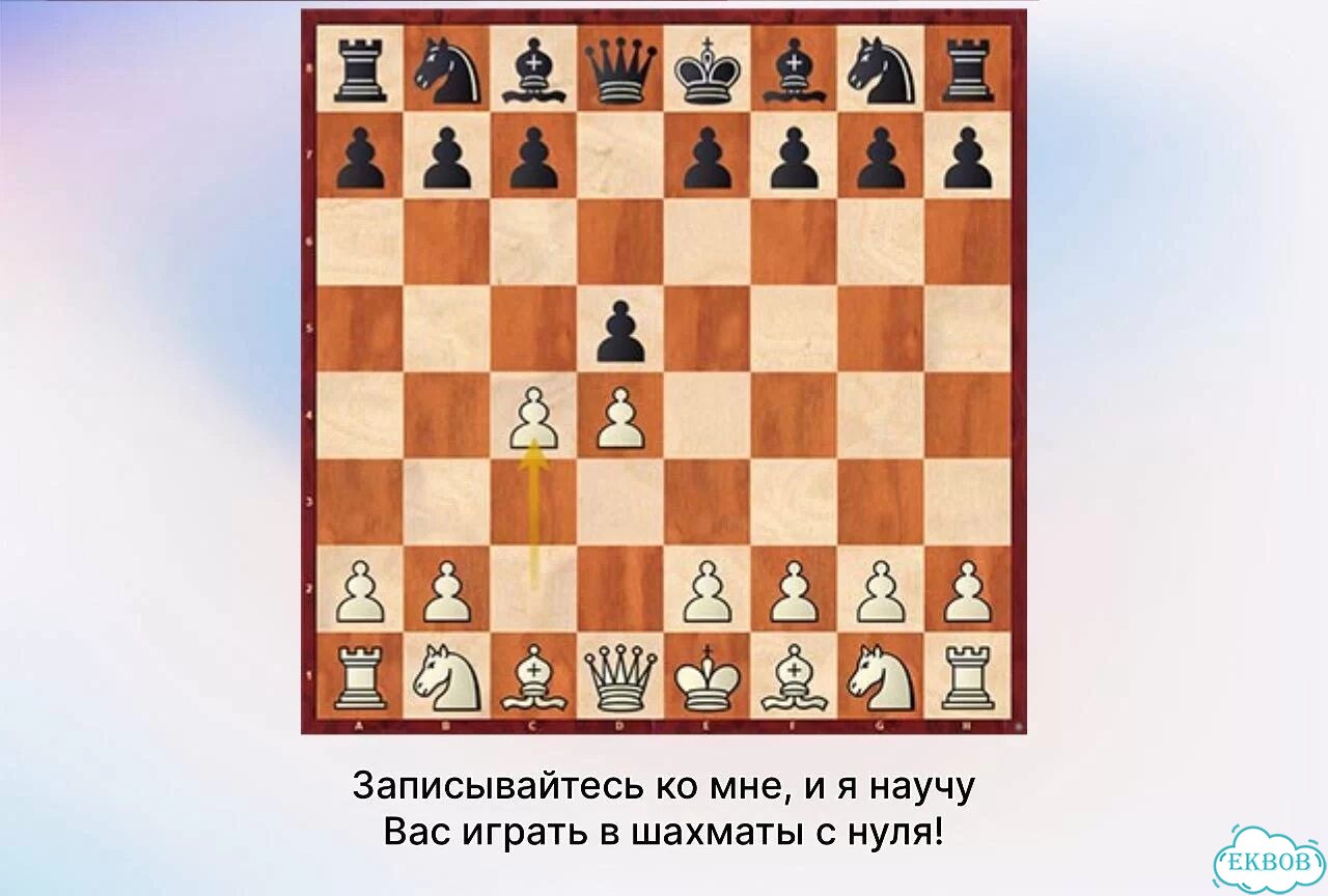 Тренер по шахматам фото 6