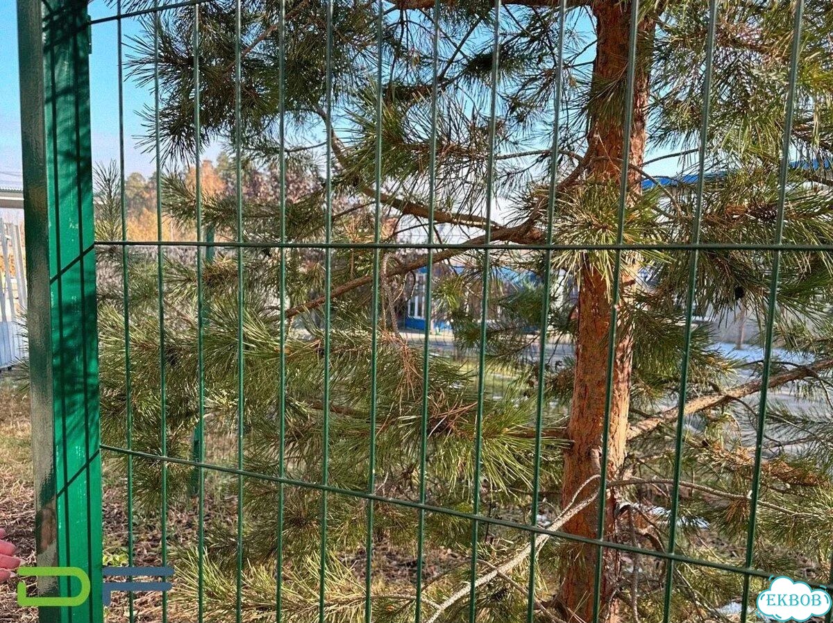 Забор 3Д сетка, 3D панель, секция ограждения фото 7