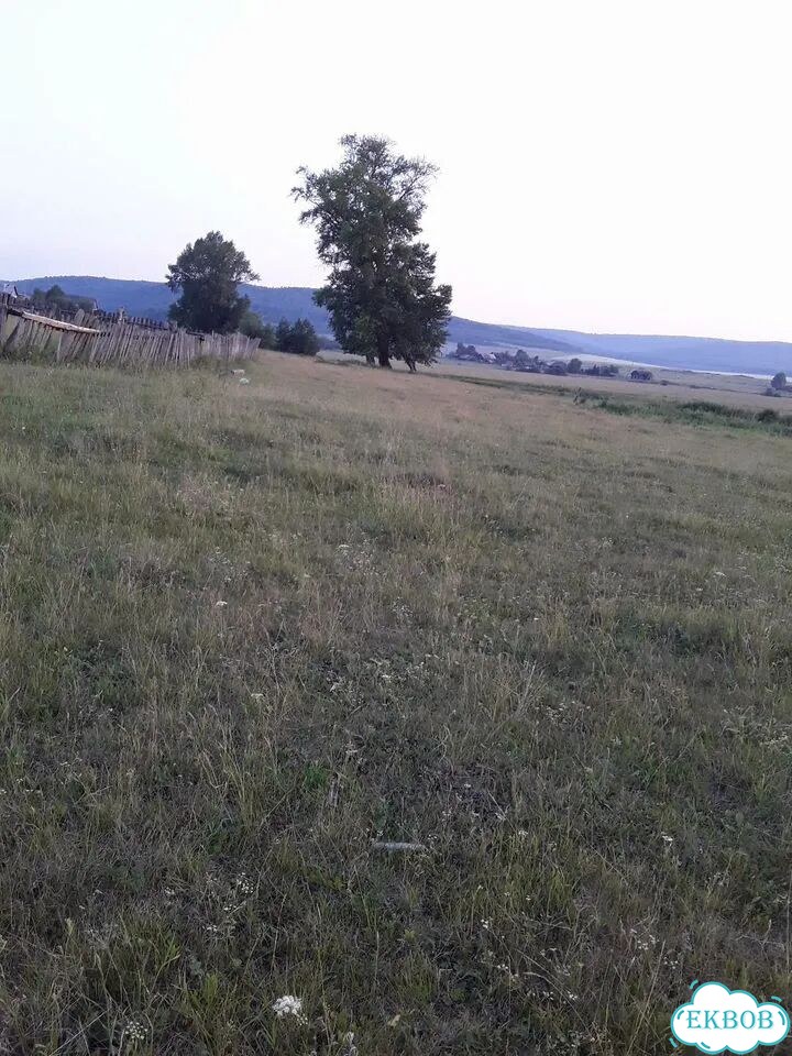 Участок 29 сот. (ИЖС) фото 1