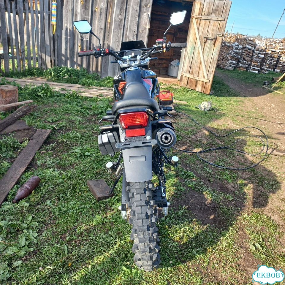 Shineray QY-250, 2024, 750 км фото 2
