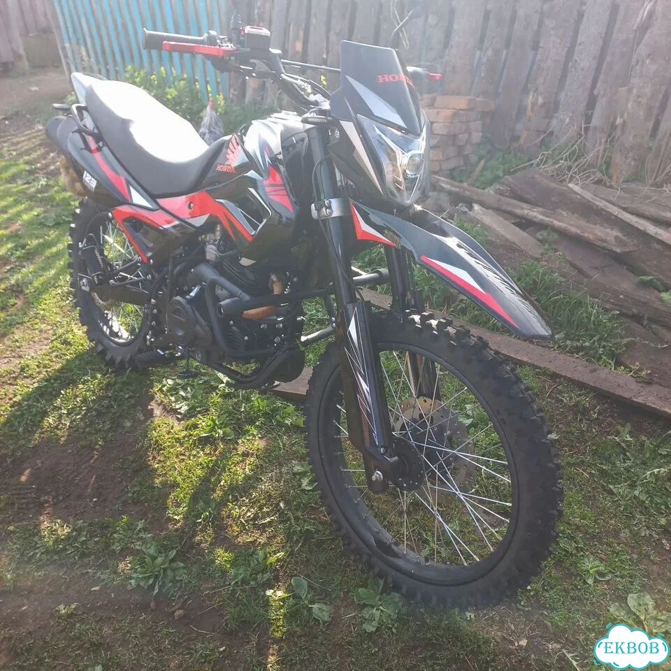 Shineray QY-250, 2024, 750 км фото 3