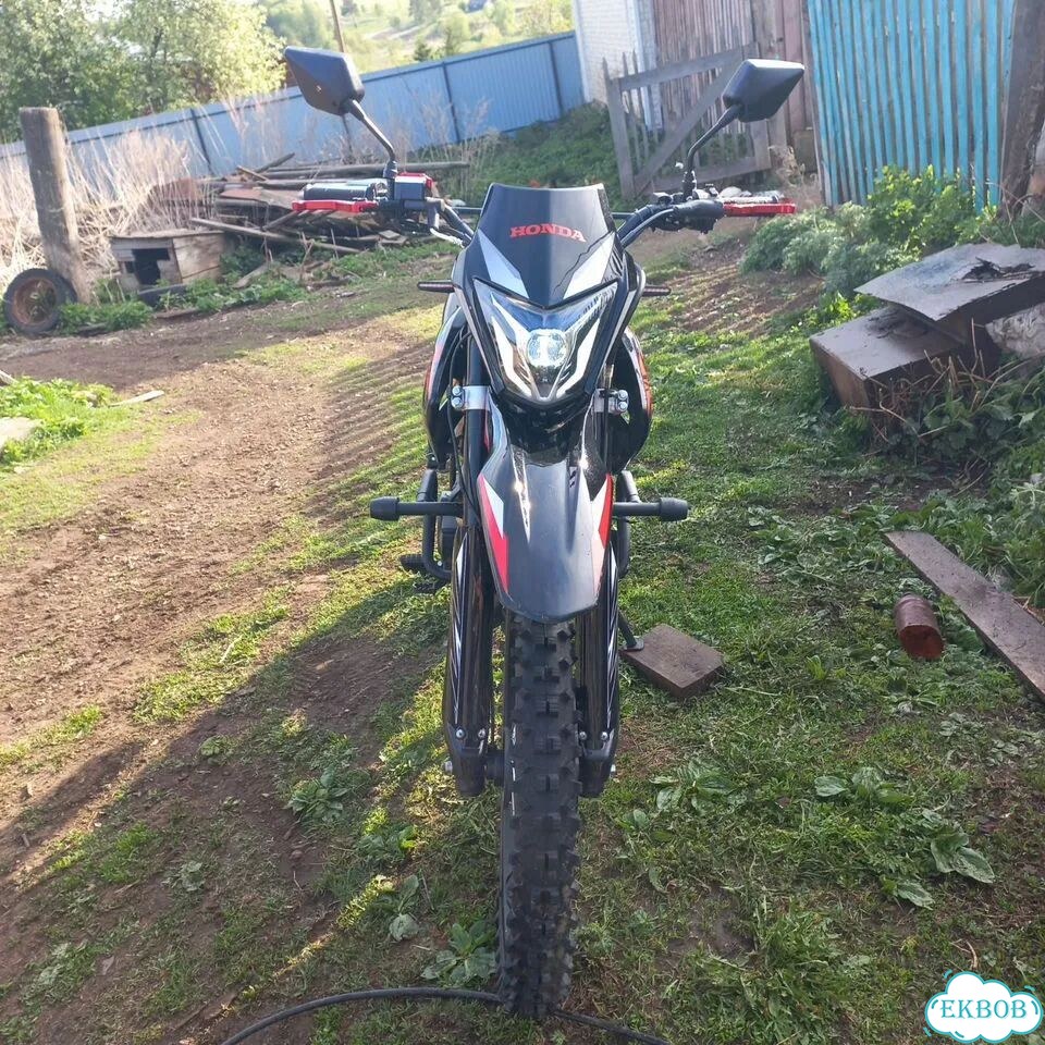 Shineray QY-250, 2024, 750 км фото 4