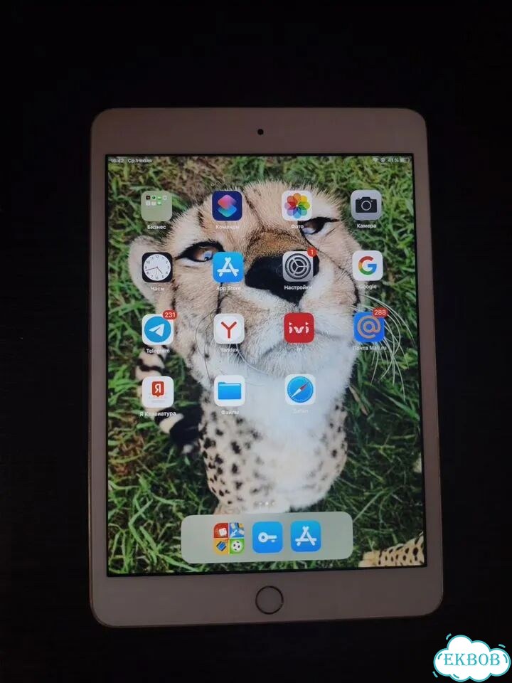 iPad mini 3 16gb фото 1