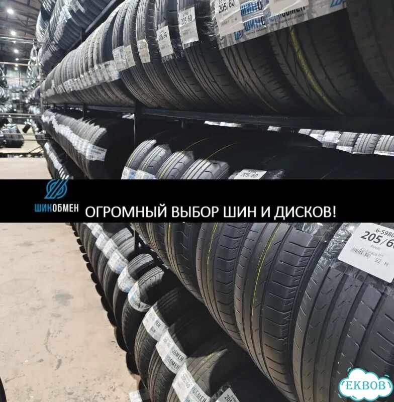 Arrowspeed N1000 205/55 R16 92P фото 1