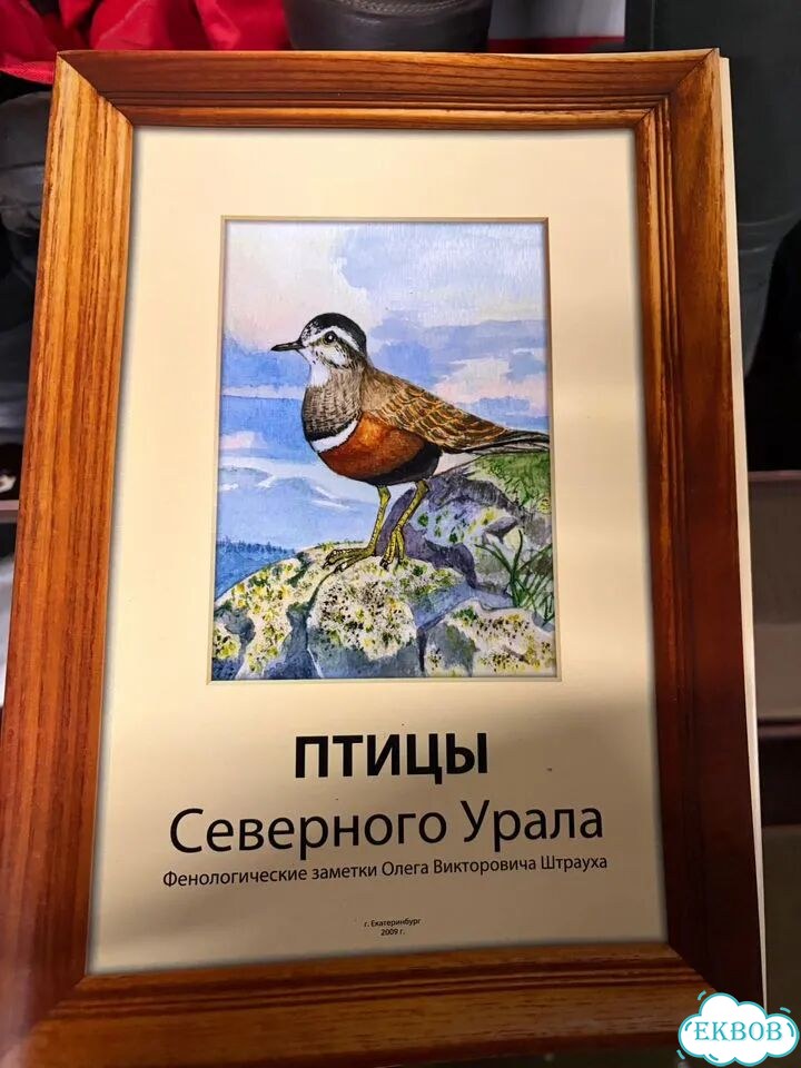 Птицы северного Урала фото 1