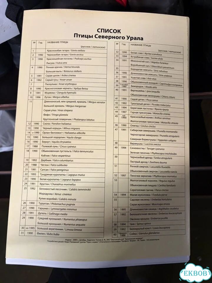 Птицы северного Урала фото 6
