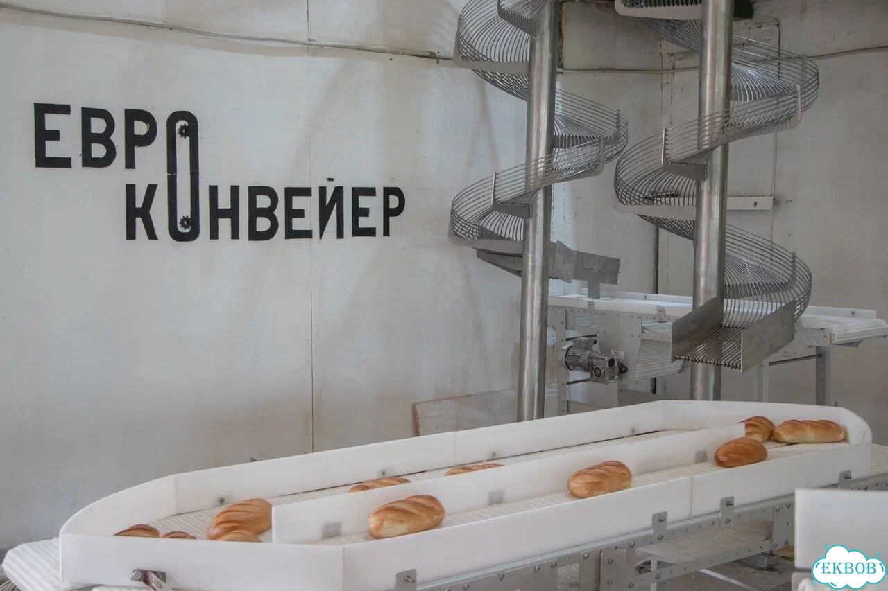 Конвейер для пищевой промышленности фото 2