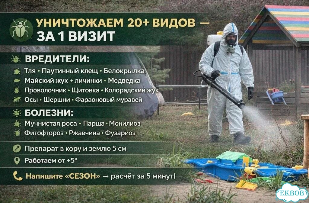 Уничтожение насекомых Обработка сада от вредителей фото 1