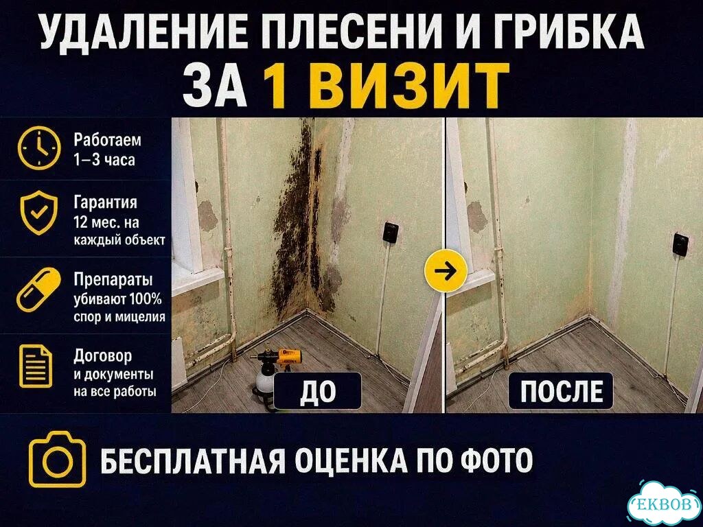 Удаление плесени и грибка фото 1