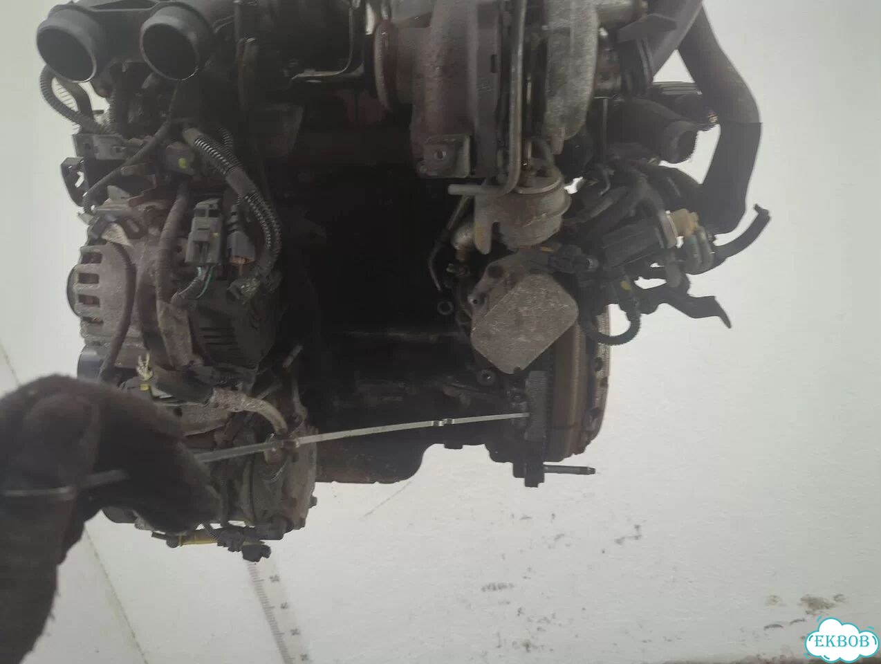 Двигатель Peugeot 508 9HL, 9HR фото 9