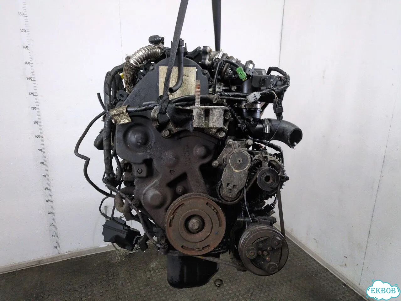 Двигатель Ford Focus 2 G8DA, G8DB фото 1