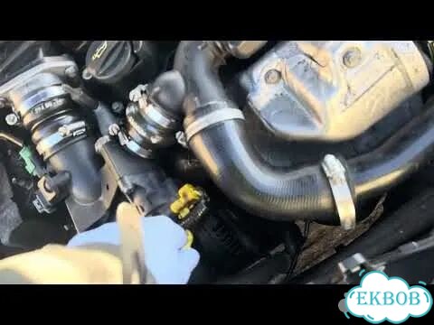 Двигатель Ford Focus 2 G8DA, G8DB фото 2