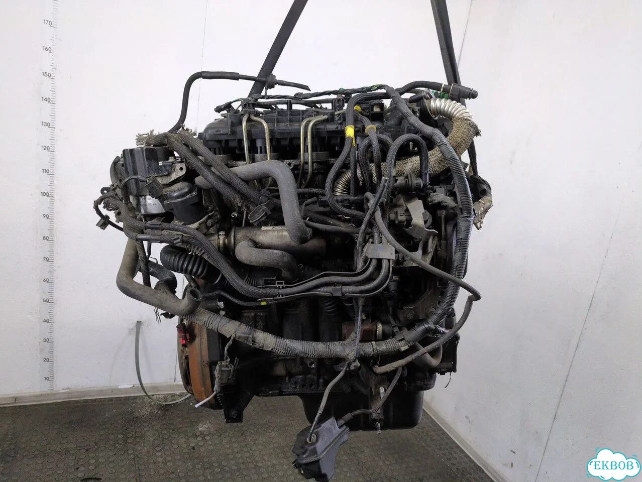 Двигатель Ford Focus 2 G8DA, G8DB фото 3