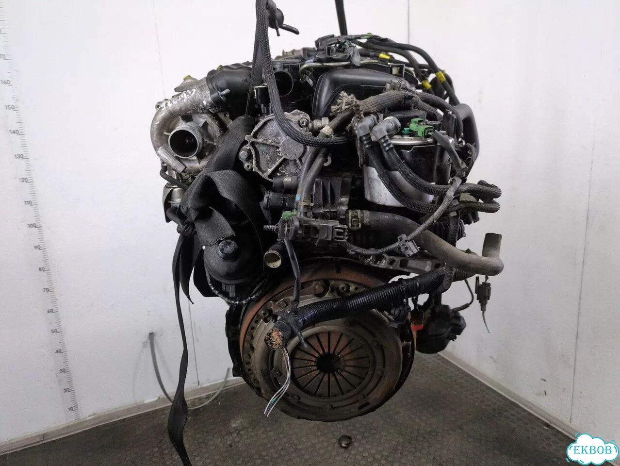 Двигатель Ford Focus 2 G8DA, G8DB фото 4