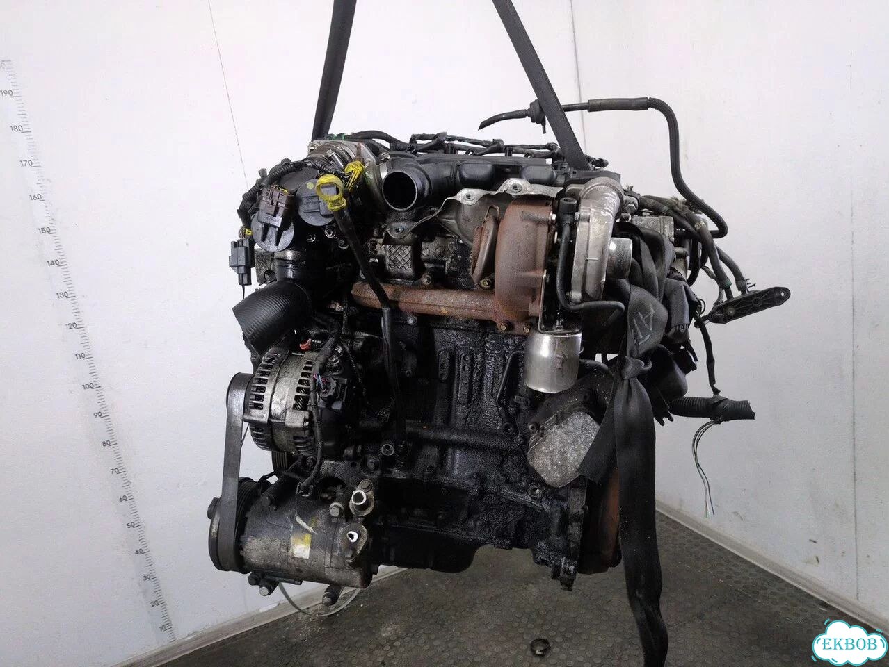Двигатель Ford Focus 2 G8DA, G8DB фото 5