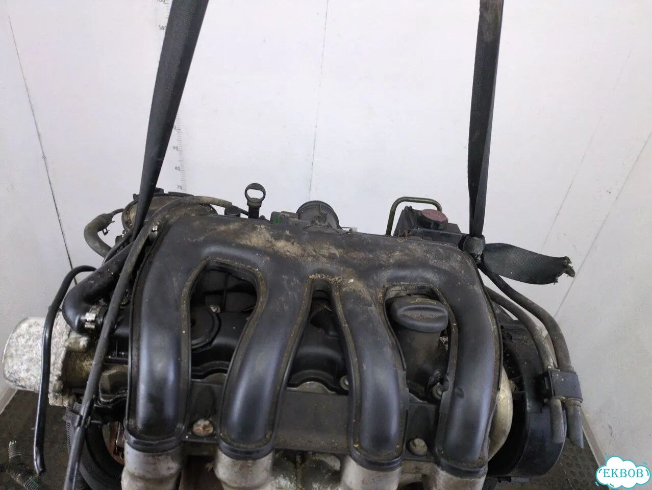Двигатель Citroen Berlingo WJY фото 7