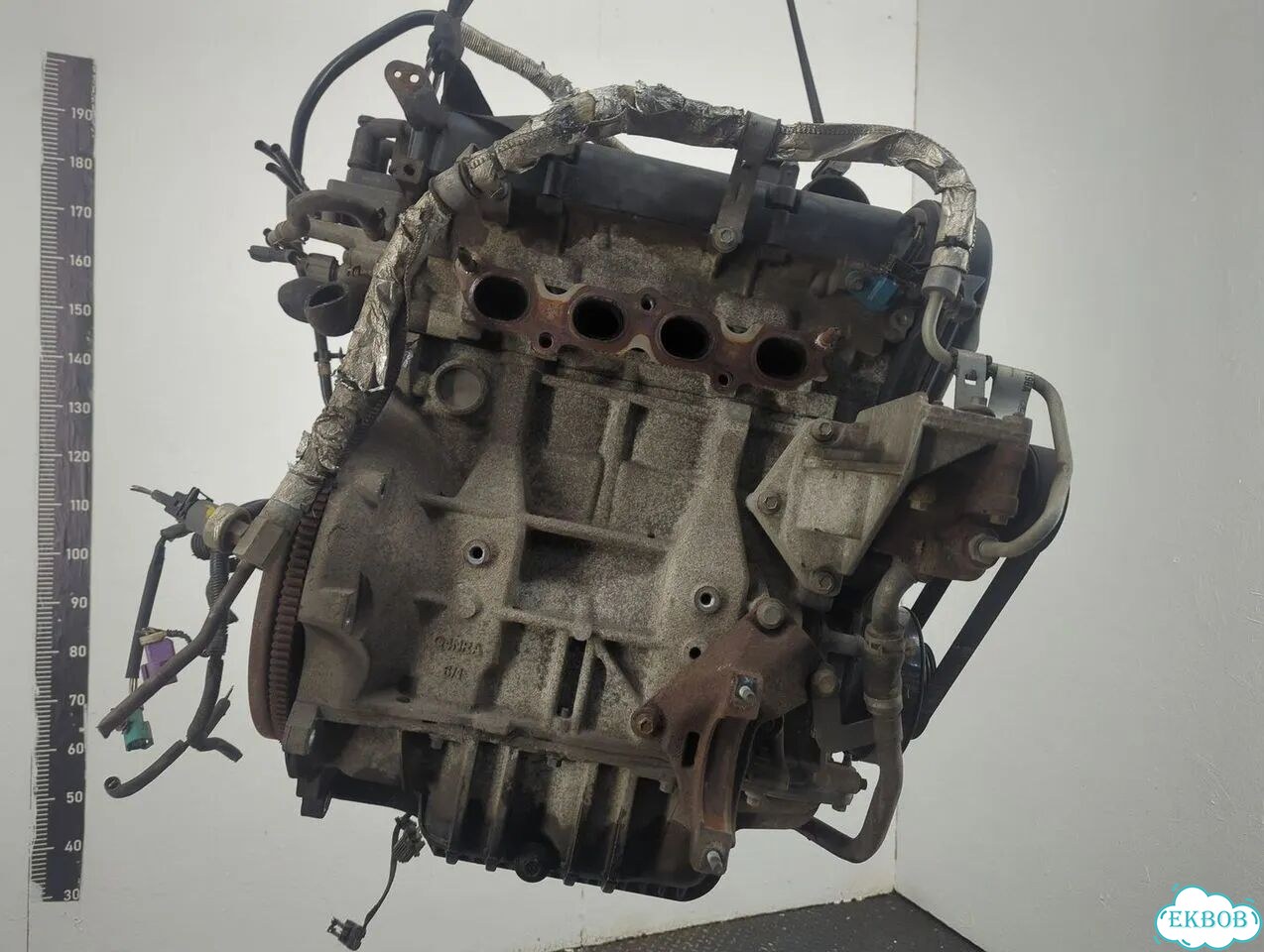 Двигатель Ford Fusion fyja, fyjb, fyjc фото 3